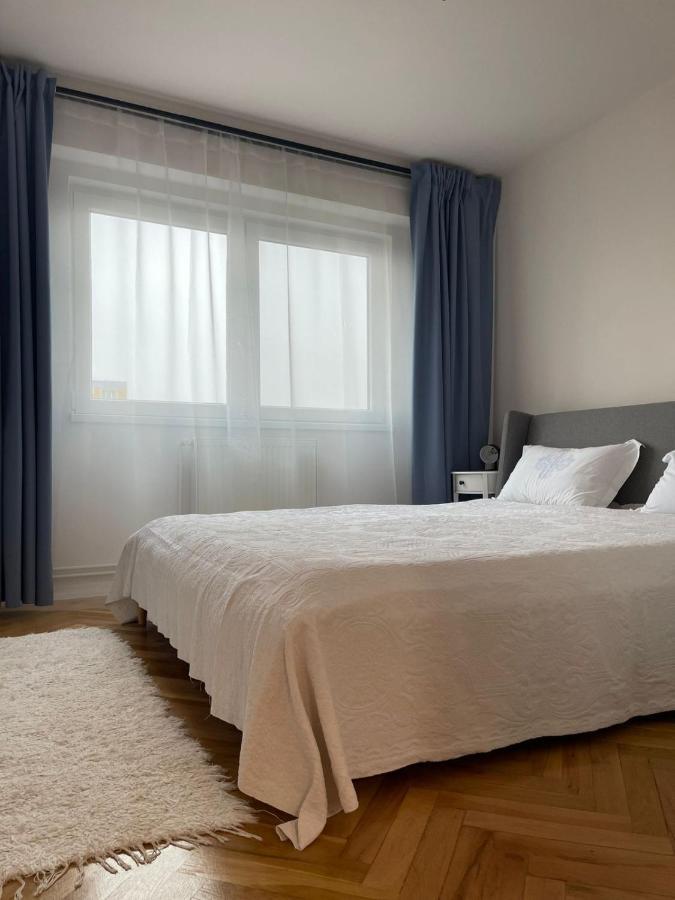 Apartament Mony 티미쇼아라 외부 사진